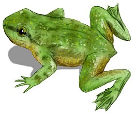 Jälleenrakennus