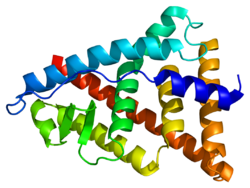 Белок ESR2 PDB 1hj1.png 