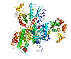 Protein MAP2K6 PDB 3ENM.png