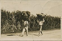 Merchants in Puerto Rico, circa 1900-1917 Quincalleros en Puerto Rico, circa 1900-1917.jpg