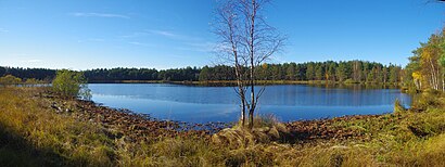 Kuidas ühistranspordiga sihtpunkti Rätsepa Järv jõuda - kohast