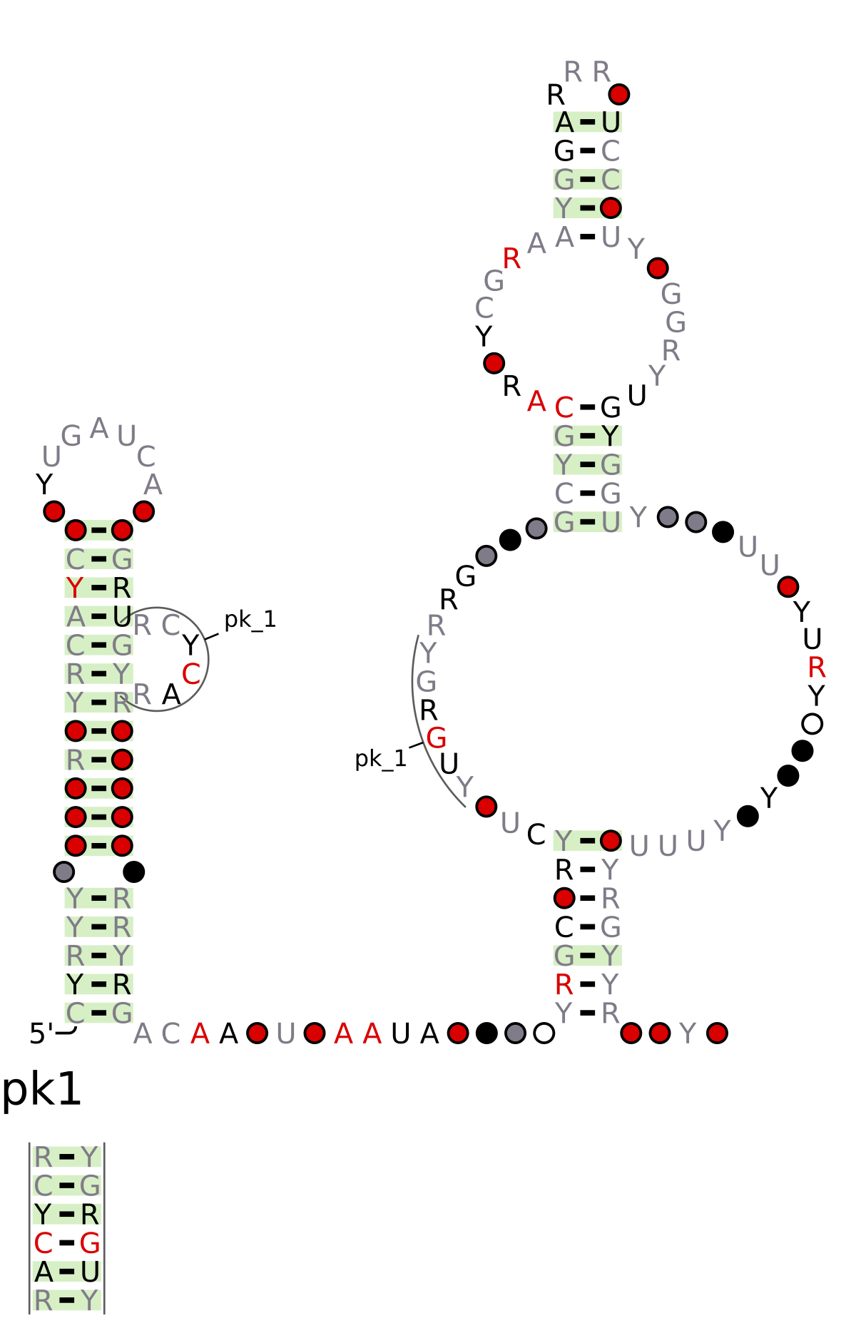 File Rf Svg Wikipedia