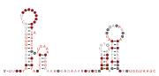 RAGATH-19 Secondary structure taken from the Rfam database. Family RF03096