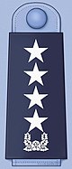 ROKAF insignia General.jpg