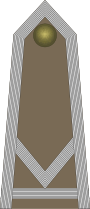 Rank insignia of sierżant sztabowy of the Army of Poland.svg