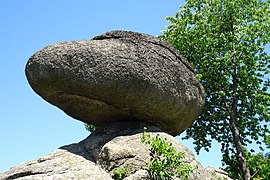 Der Schwammerling, das Wahrzeichen des Naturparks