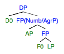 Result nominals tree structure This tree represents the structural analysis for result nominals proposed by Alexidou (2001). Result Nominalization Tree.png