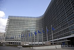 Comisión Europea: Historia, Organización e funcionamento, Véxase tamén