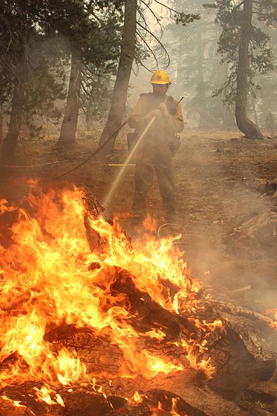 File:Rim Fire 20130817-FS-UNK-0070 (9773309616).jpg