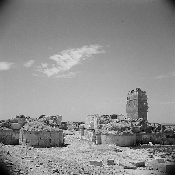 File:Ruïnes van Qasr Al Hair, Bestanddeelnr 255-6064.jpg