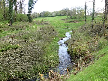 Le ruisseau de l'Étang de Claverolles à Blaudeix.