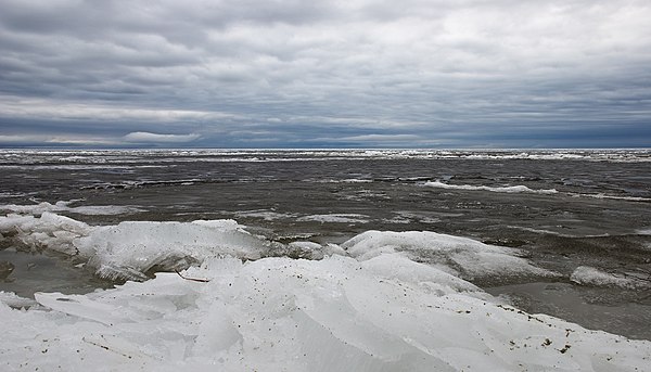 Рыбинское водохранилище замор. Рыбинское водохранилище. Весьегонск Рыбинское водохранилище. Ледостав на Рыбинским водохранилищем. Рыбинское водохранилище апрель.