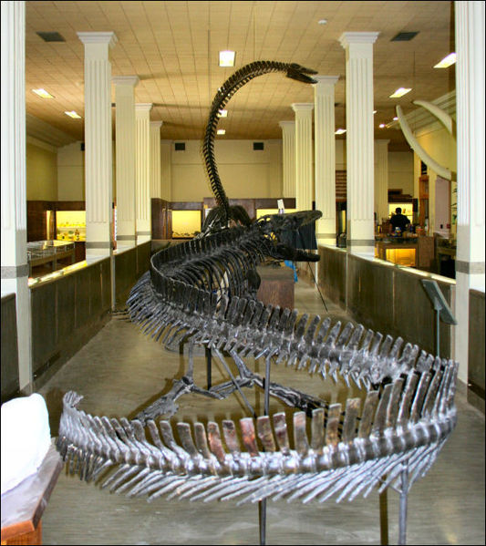 Geology Museum, SDSMT