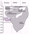 Pisipilt versioonist seisuga 31. detsember 2007, kell 04:29