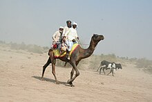 Saraiki camel rider.JPG