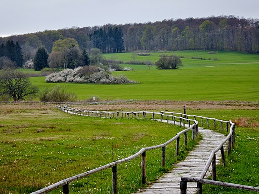 Schopflocher Moor (Torfgrube) - panoramio (1)