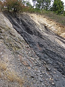 Halfantraciet steenkool (Merrimac Coal, Lower Mississippian; Cloyds Mountain roadcut, Valley Coalfield, Virginia, VS) 9 (30196240080) .jpg