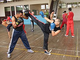 Internacional Séminaire Savate Cuba 2008.jpg