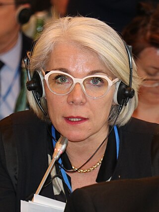 <span class="mw-page-title-main">Sereine Mauborgne</span> French politician