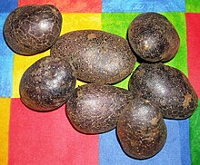 Shetland Siyah patates.jpg