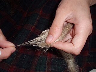 Short draw drafting technique used with long-staple fibers in hand spinning