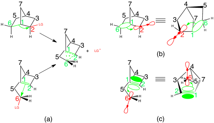 Figure 8: LG=Leaving Group; Green coloring indicates the bond from which electrons are being donated. Red coloring indicates the bond that is being broken and the electrons involved in that bond. (a) The two main routes to the 2-nobornyl cation are the s route (top) and the p route (bottom). (b) The s route involves electrons from the s bonding orbital between carbons 1 and 6 being donated into the s* anti-bonding orbital between carbon 2 and the leaving group. (c) The p route involves electrons from the p bonding orbital between carbons 1 and 2 being donated into the s* anti-bonding orbital between carbon 6 and the leaving group. Sigma and Pi Synthetic Routes to the 2-Norbornyl Cation.png