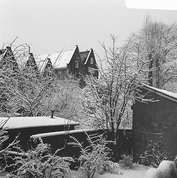 File:Sneeuwval. Struiken onder sneeuw, huizen op achtergrond, Bestanddeelnr 923-2581.jpg