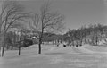 Snow Pictures. On Mount Royal BAnQ P48S1P05793.jpg
