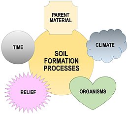 Soil-formation-factors-en.jpg