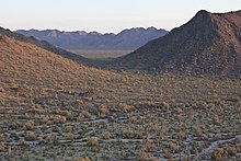 Sonoran Desert Sonoran Desert NM (9406659460).jpg