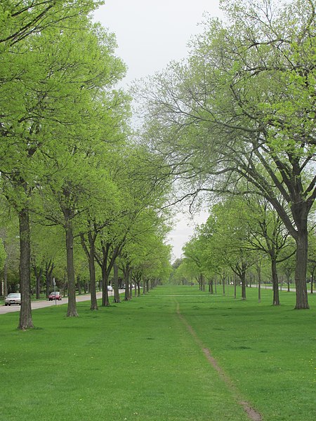 File:Springtime- Victory Memorial Parkway - panoramio.jpg