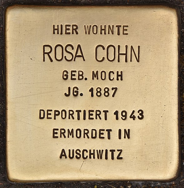 File:Stolperstein für Rosa Cohn (Erlangen).jpg