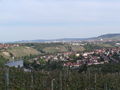 Blick auf die Neckarschleife in Stuttgart-Bad Cannstatt