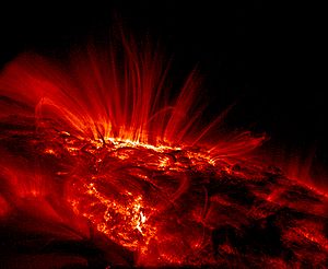 TRACE image of sunspots