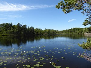 Svarttjärnen från mitt-partiet riktning norr den 8 juli 2023.