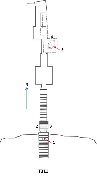 TT311.jpg