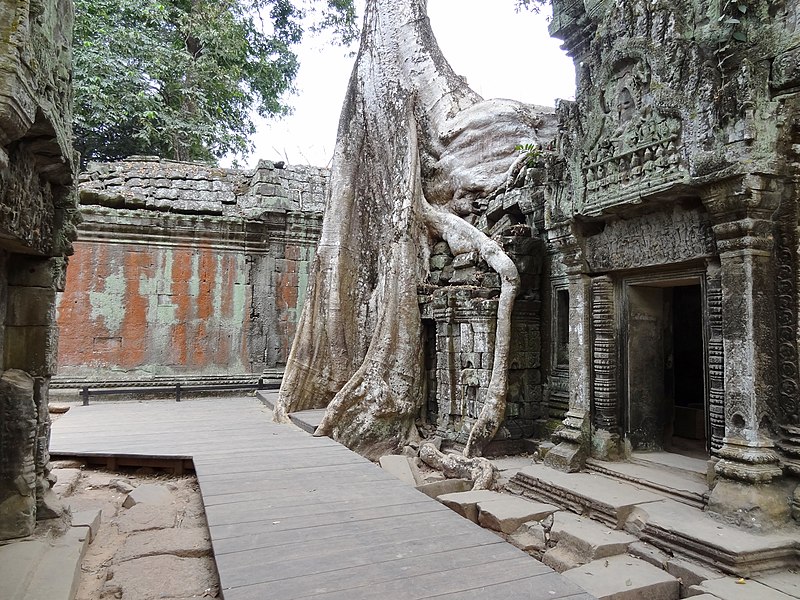 File:Ta Prohm 27.jpg