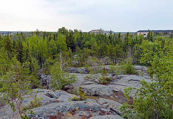 Tazin Lake Upland ecoregion of the Taiga Shield