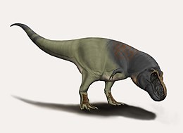 A Tarbosaurus rekonstrukciója