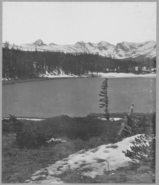 File:The Colorado or Front range, from Bald Mountain. Boulder County, Colorado. - NARA - 517496.tif