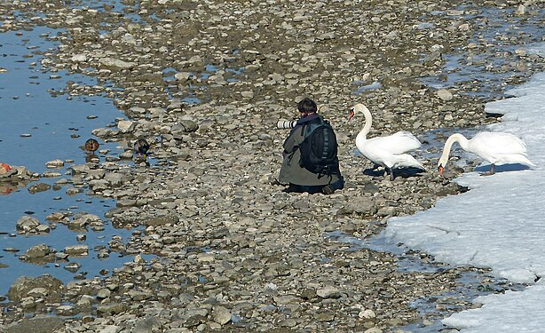 The fotographer and his assistant at the river Salzach in Salzburg