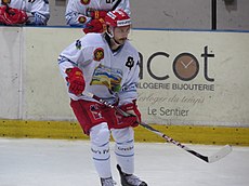 Harimau de Langnau - Nitra, 11 août 2017 - 112.jpg