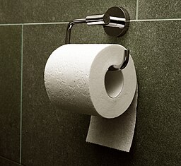 Toilet paper orientation under