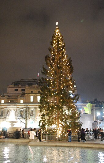The Trafalgar Square Christmas tree in 2008