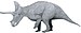 Triceratops by Tom Patker-01.jpg