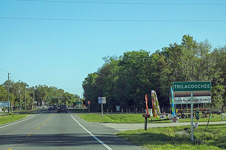 Trilacoochee, Florida