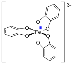 Tris(catecholato)Iron(III) anion.svg