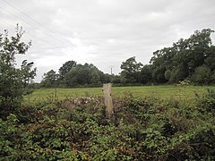 Tumulus de l'Hermitage (Guiscriff)