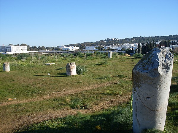 Ruins of the Basilica Majorum (also called of Meildfa) in Carthage, where inscription has been found dedicated to Saint Perpetua and Saint Felicitas.