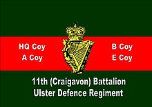 Regimiento de Defensa del Ulster Performance Polo 